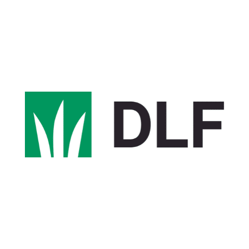 DLF