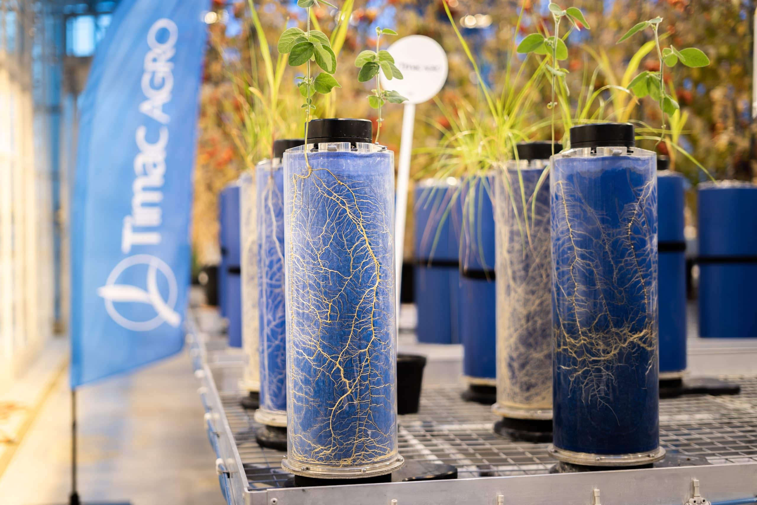 innovationscientifique - WilliamHoudeTimacAgro