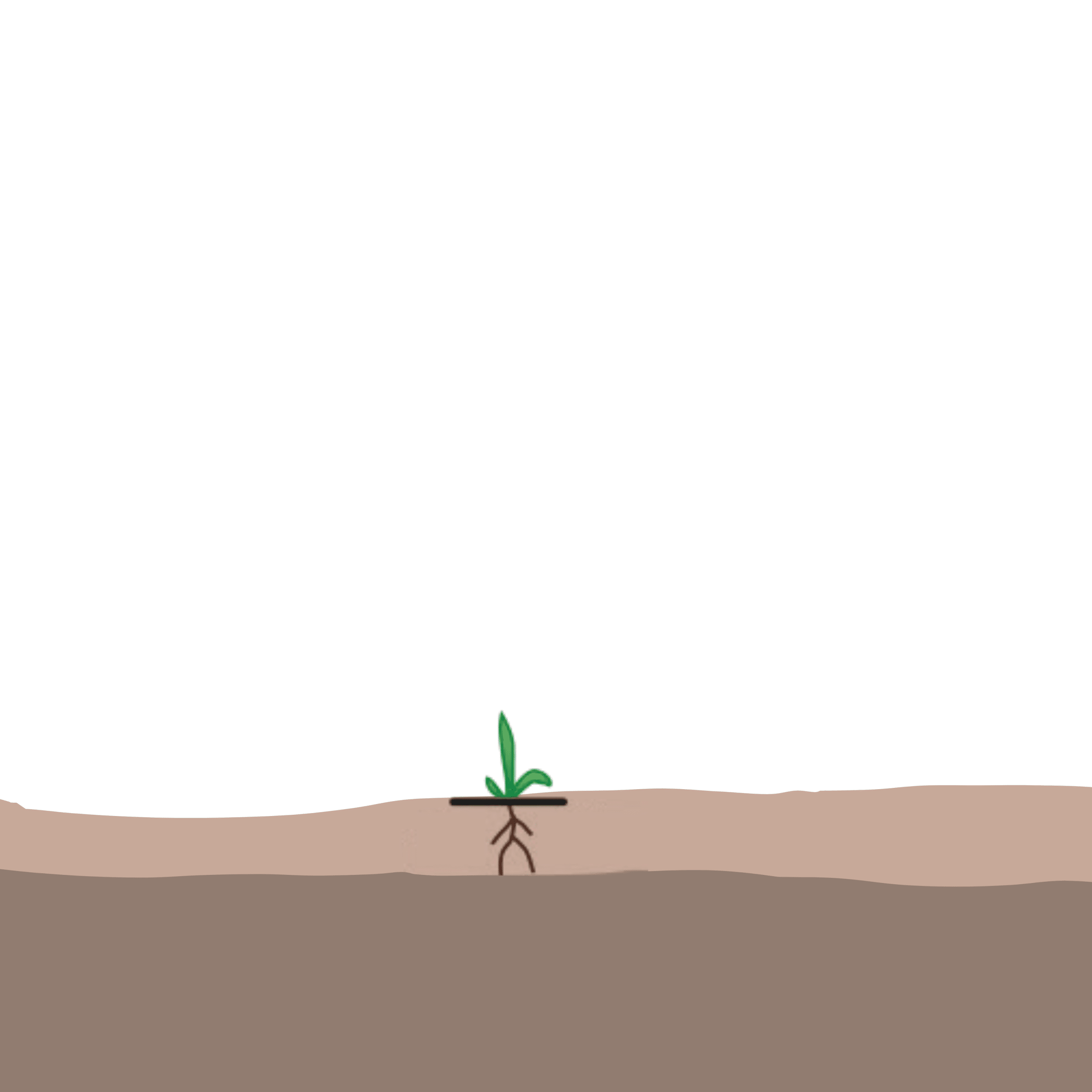 crop step 0