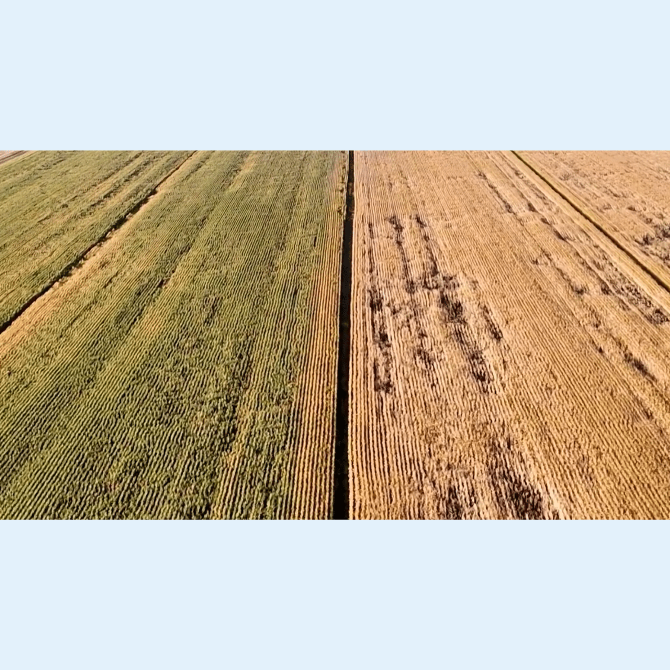 Fertiactyl GZ william Houde timac agro