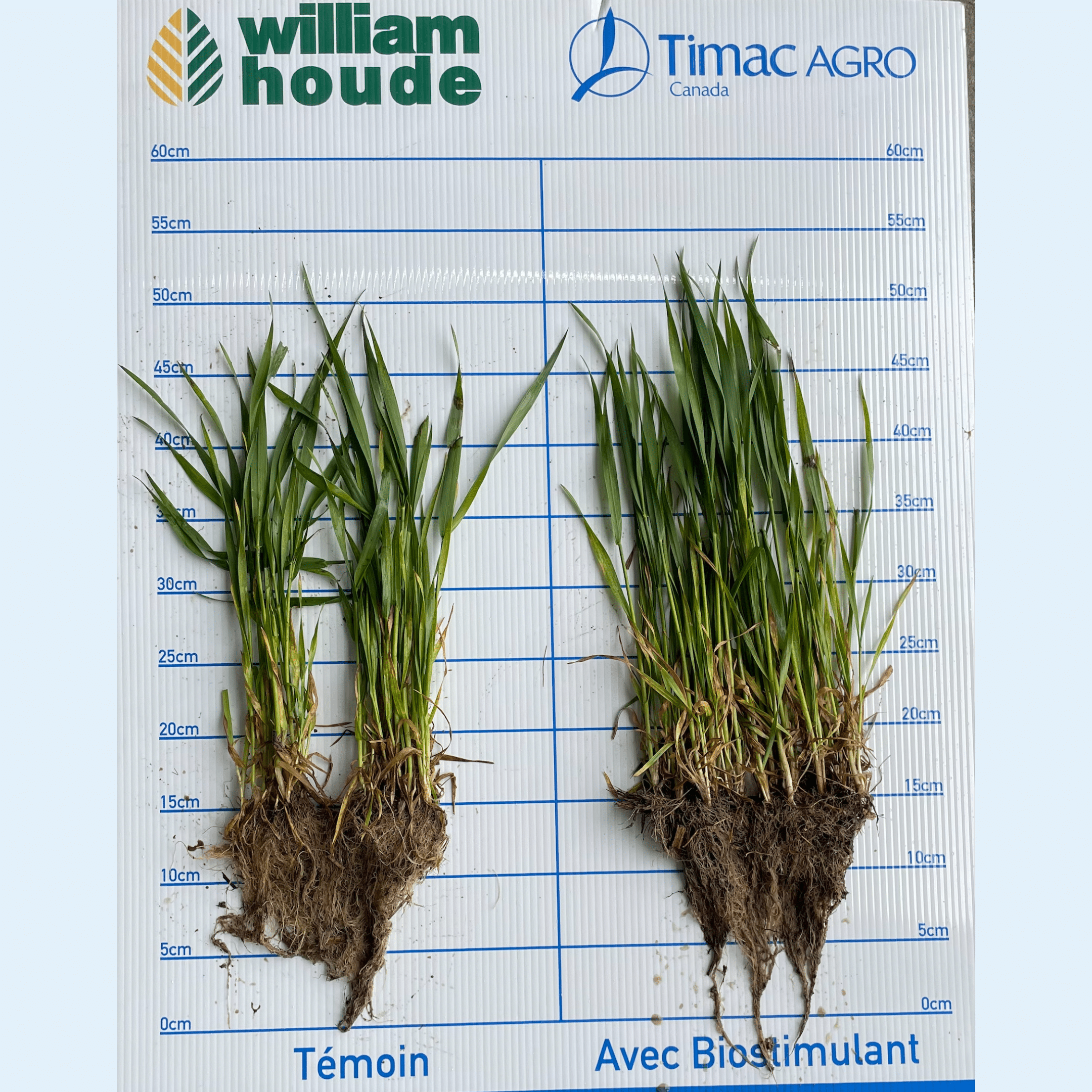 Fertiactyl GZ william Houde timac agro