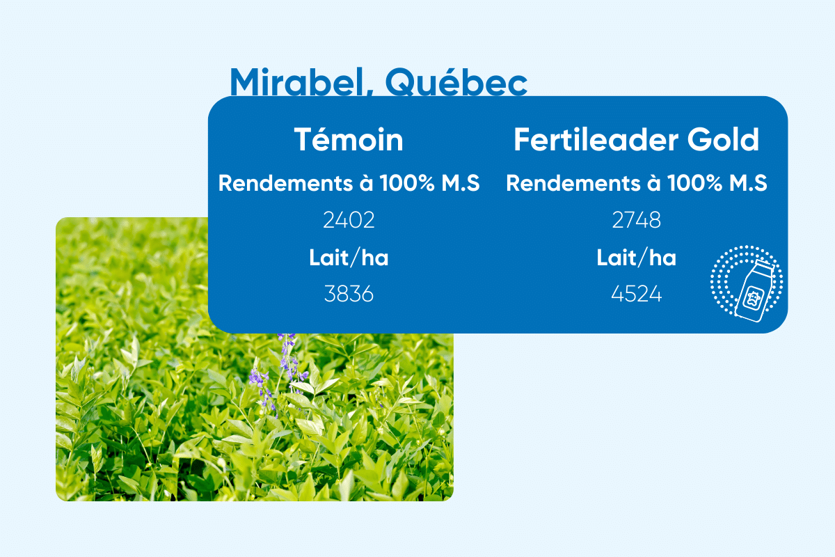 Fertileader Gold william houde timac agro