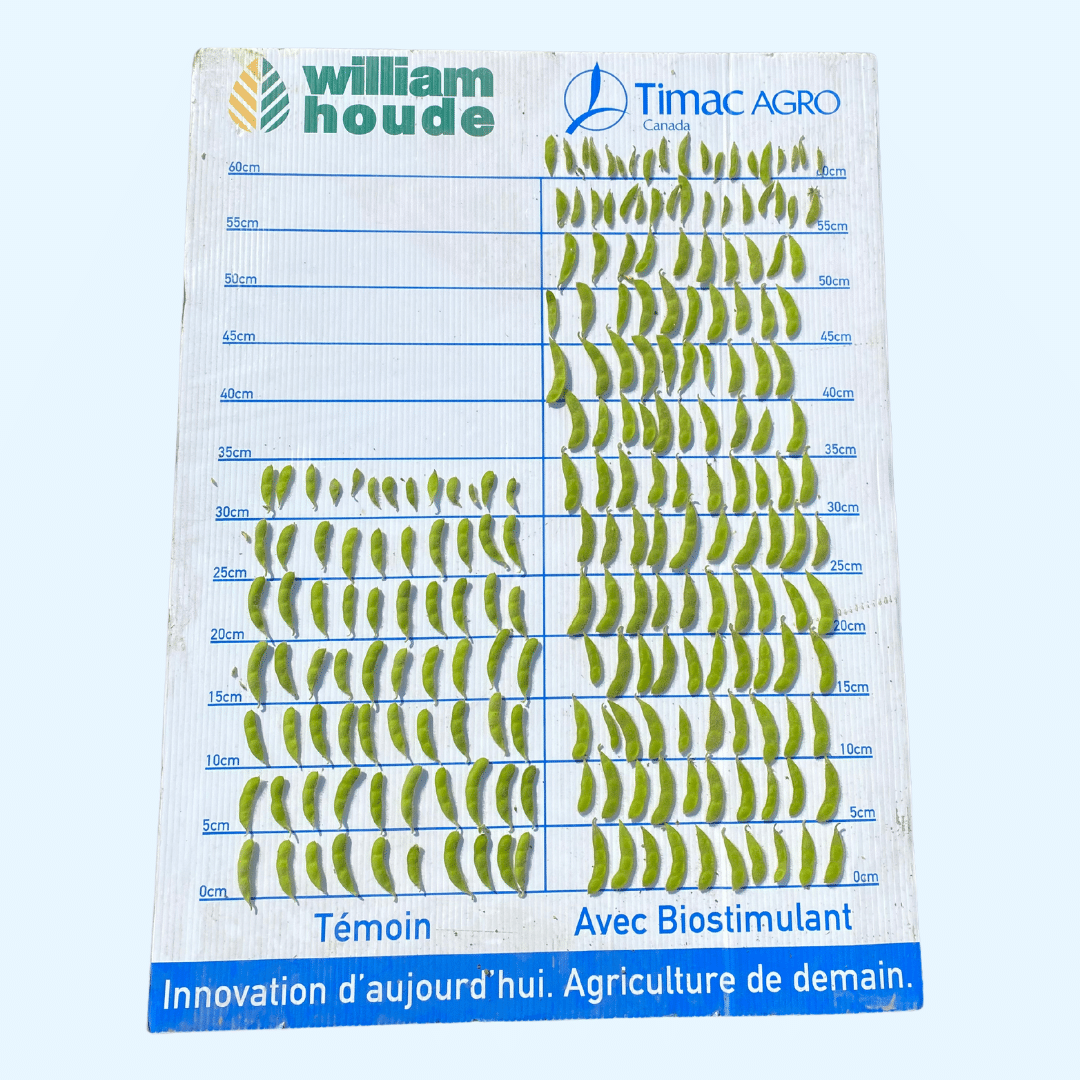 Fertileader Alpha william houde timac agro