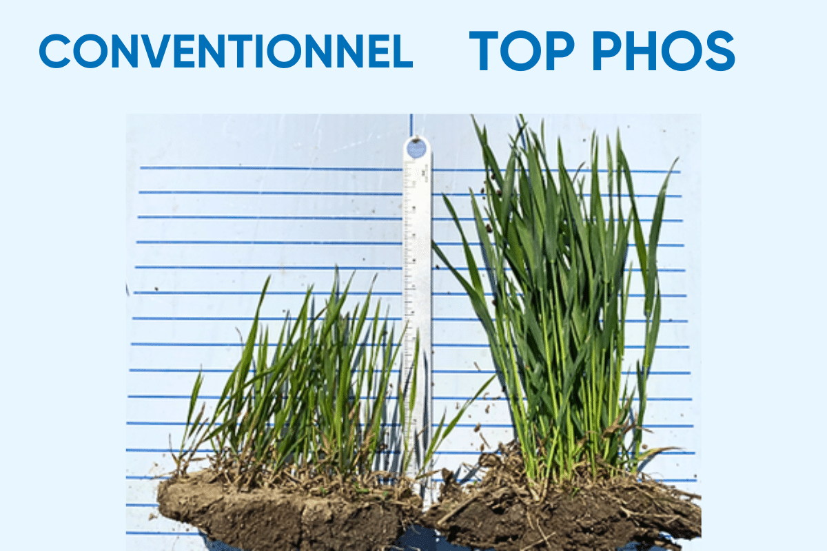Top Phos william houde timac agro
