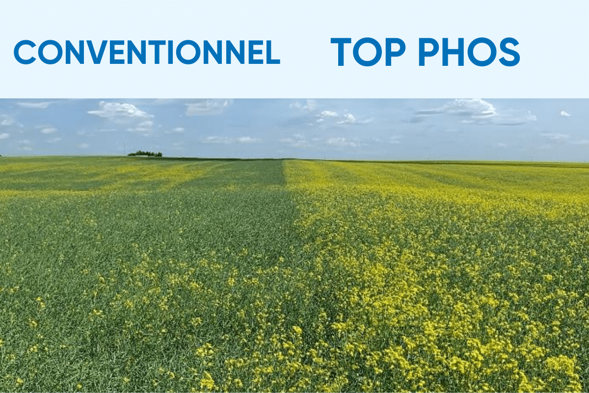 top phos william houde timac agro