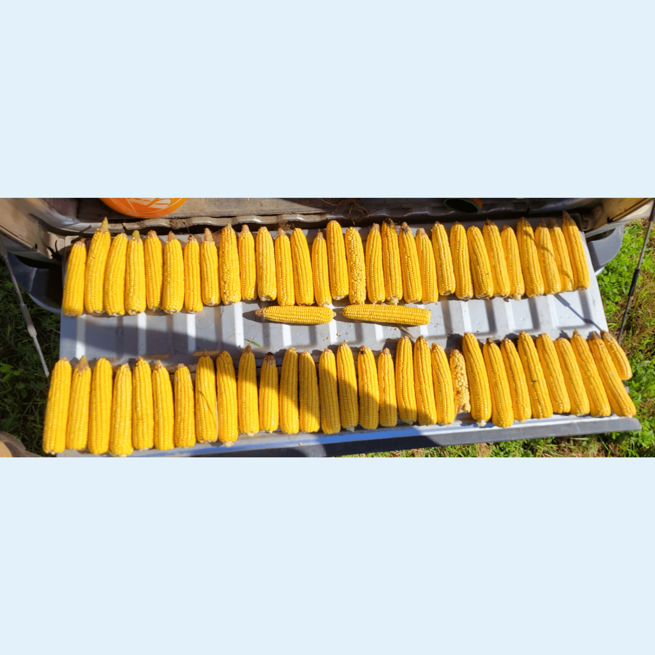Fertiactyl GZ william Houde timac agro