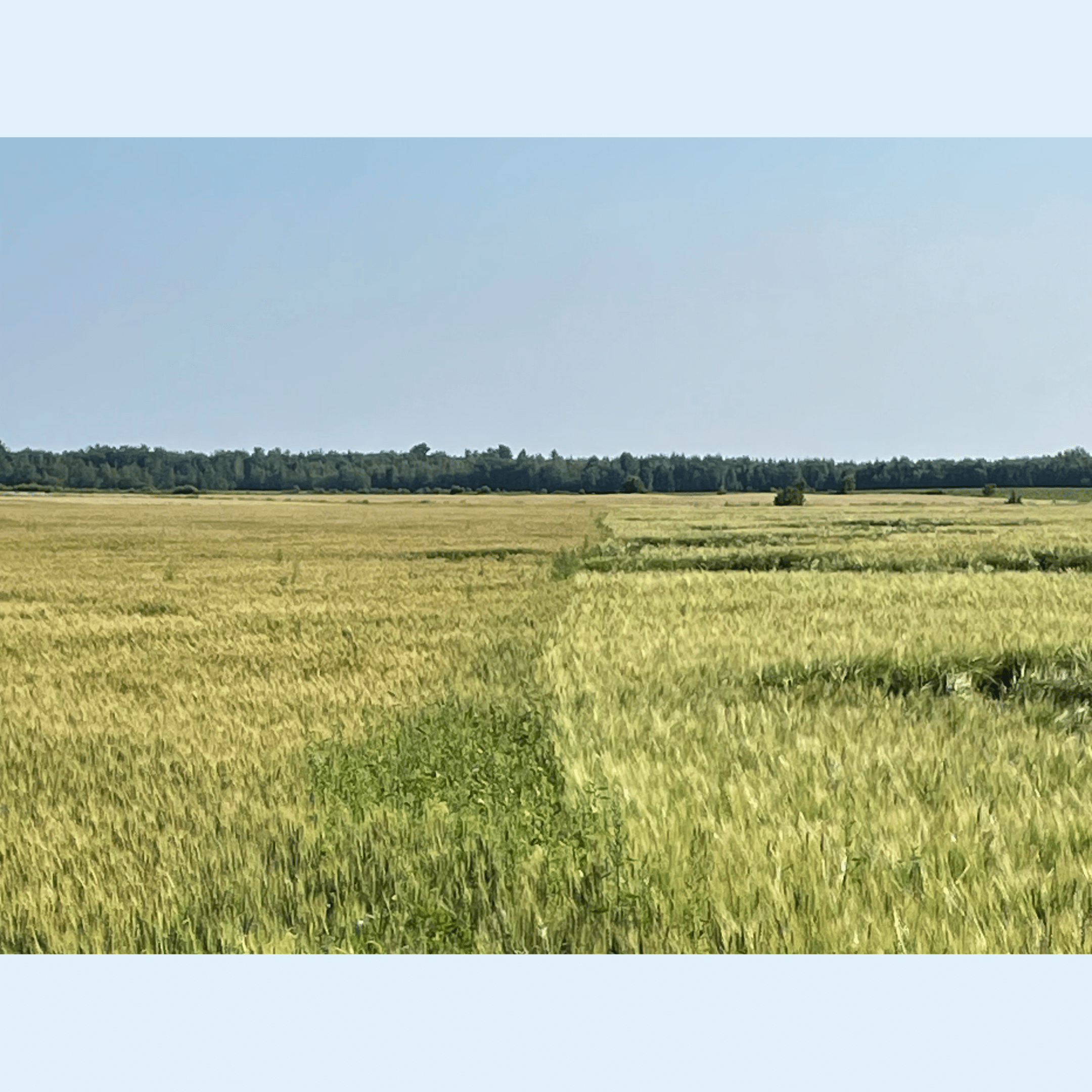 Fertiactyl GZ william Houde timac agro