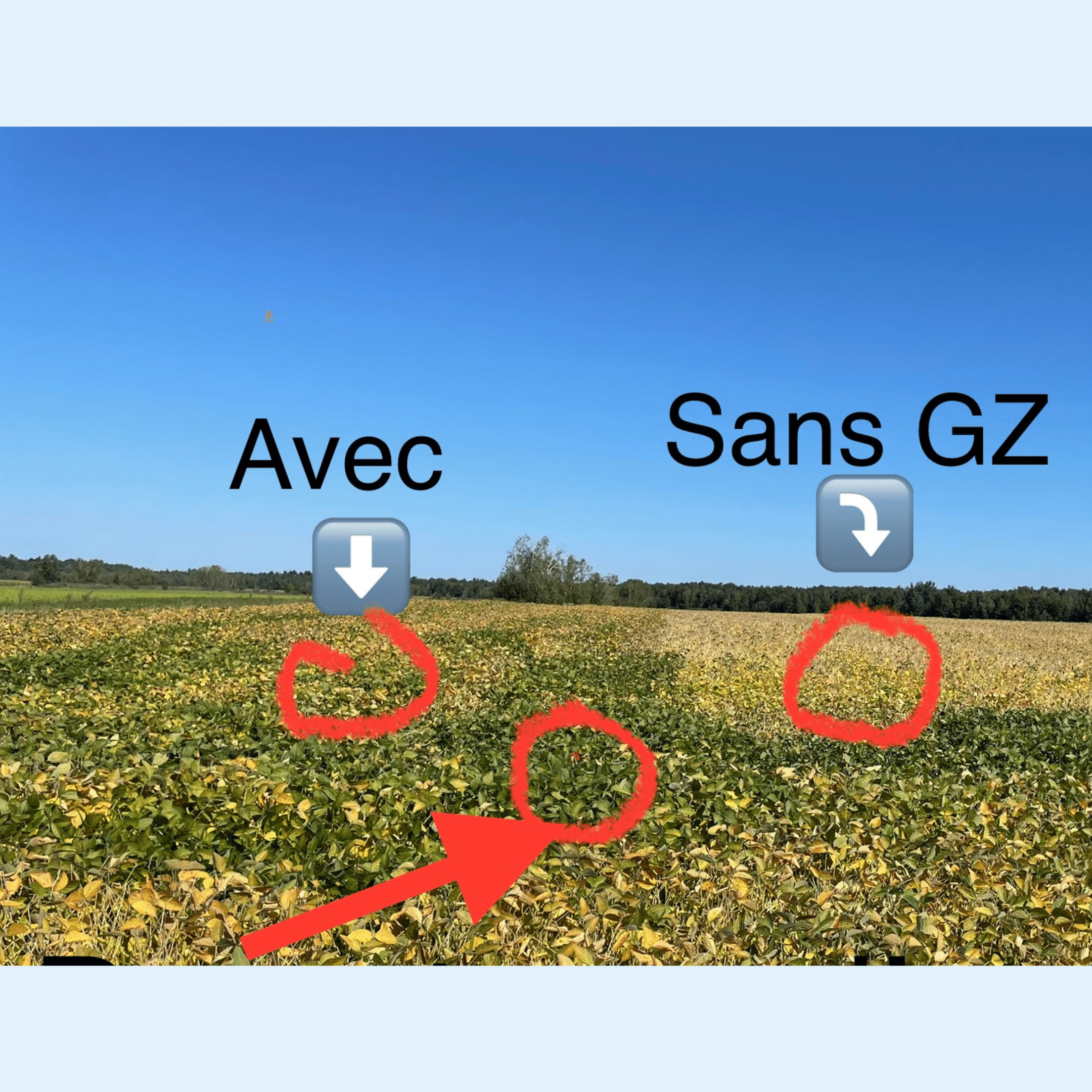 Fertiactyl GZ william Houde timac agro