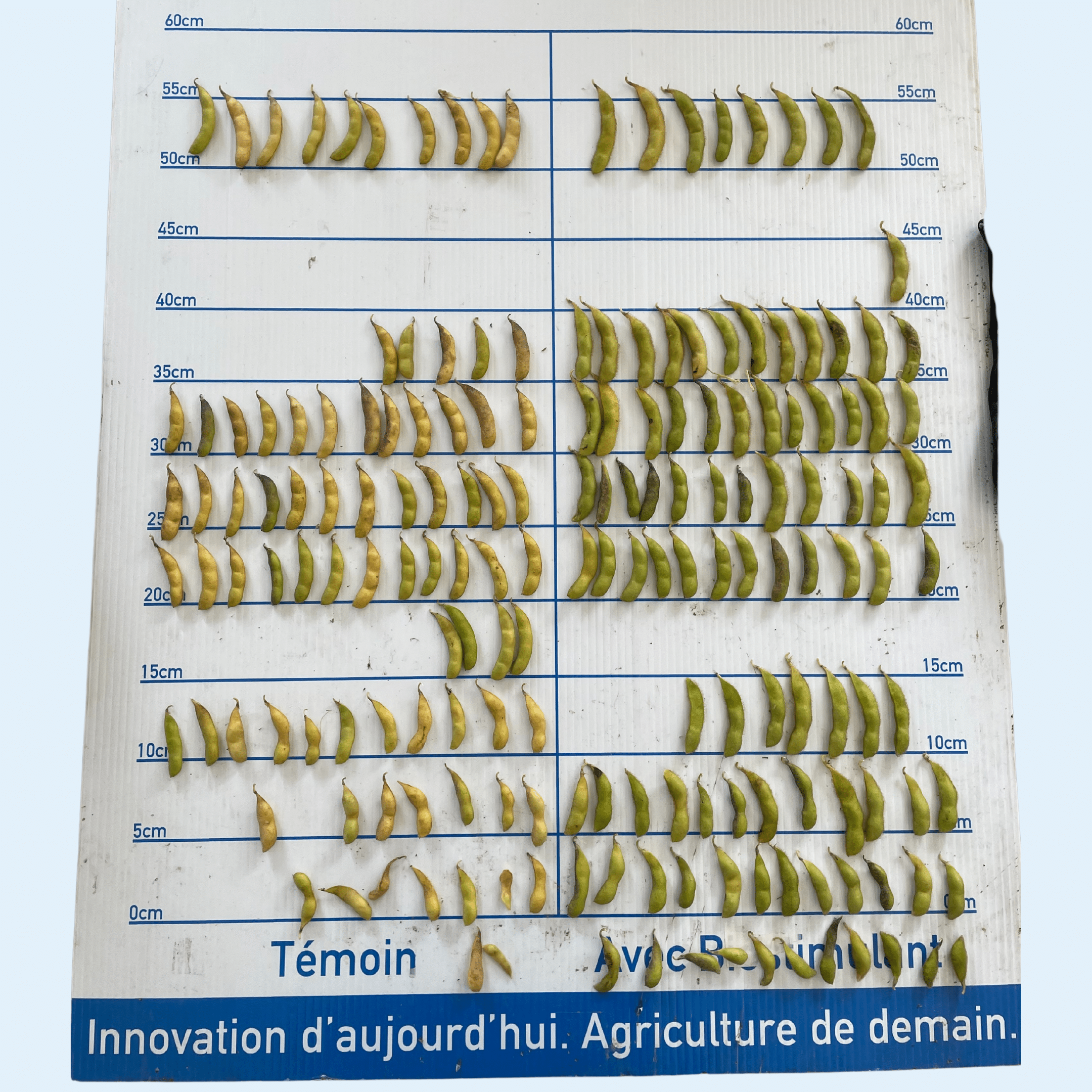 Fertiactyl GZ william Houde timac agro