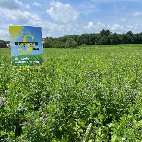 sulfammo william houde timac agro