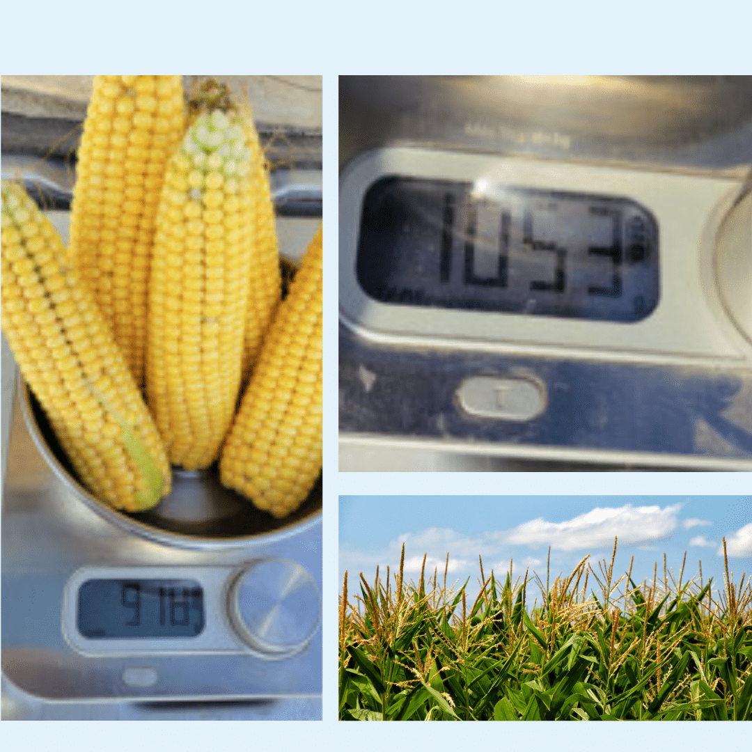 excelis maxx william houde timac agro