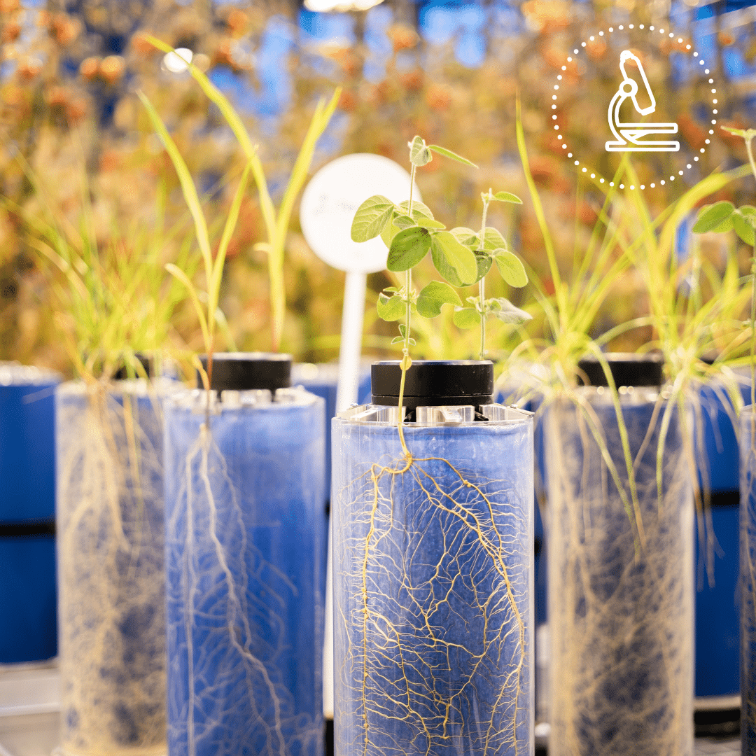 innovation william houde timac agro