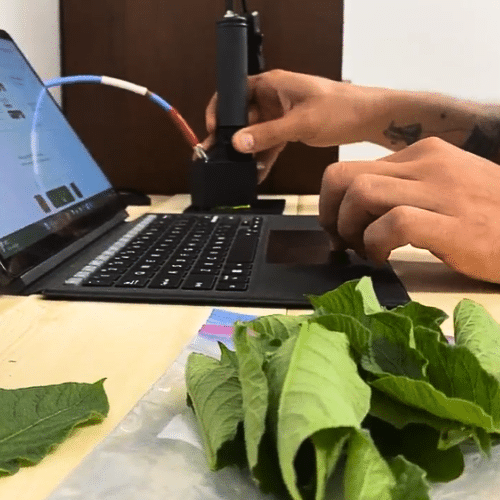 analyse foliaire william houde timac agro