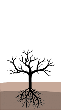 crop step 0