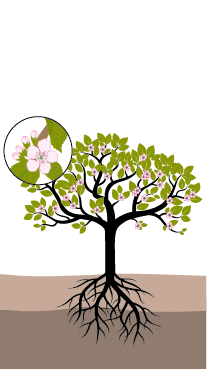 crop step 3