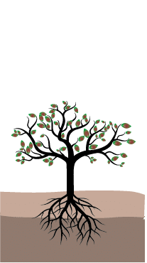 crop step 8