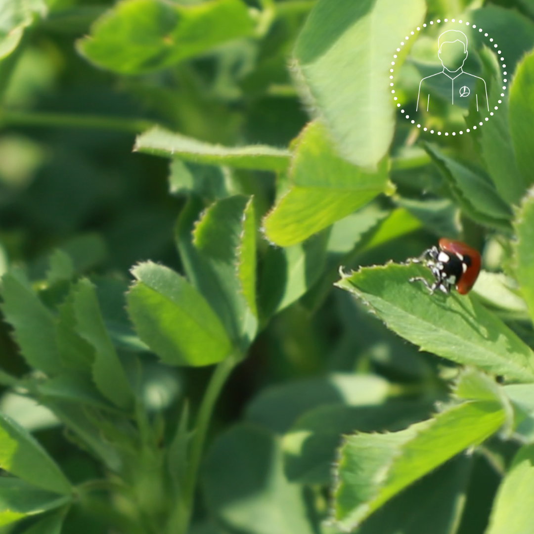 10 truc pour les prairies william houde timac agro