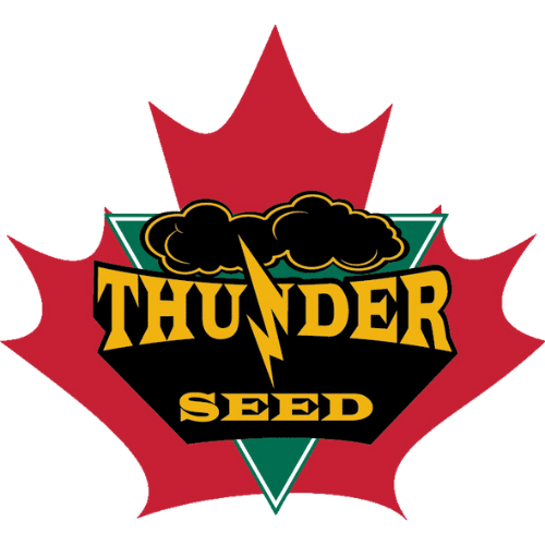 THUNDER SEED