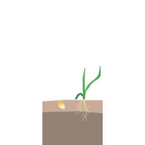 crop step 0