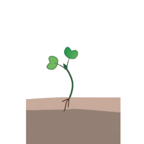 crop step 0