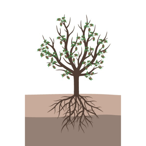 crop step 6