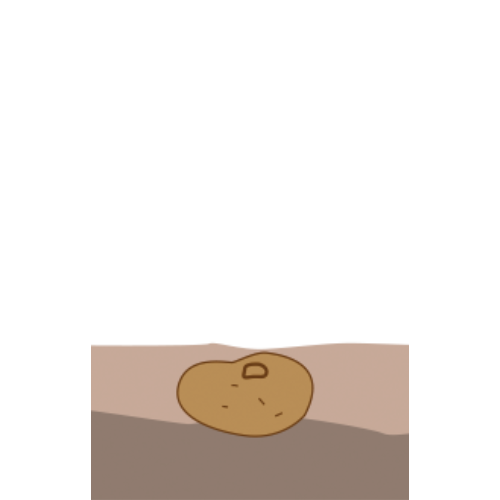 crop step 1