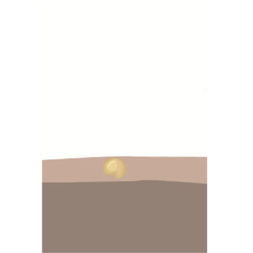 crop step 0