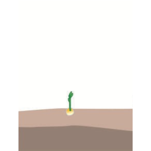 crop step 0