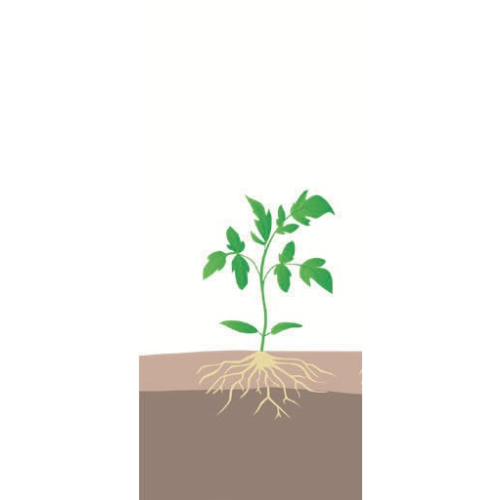 crop step 0