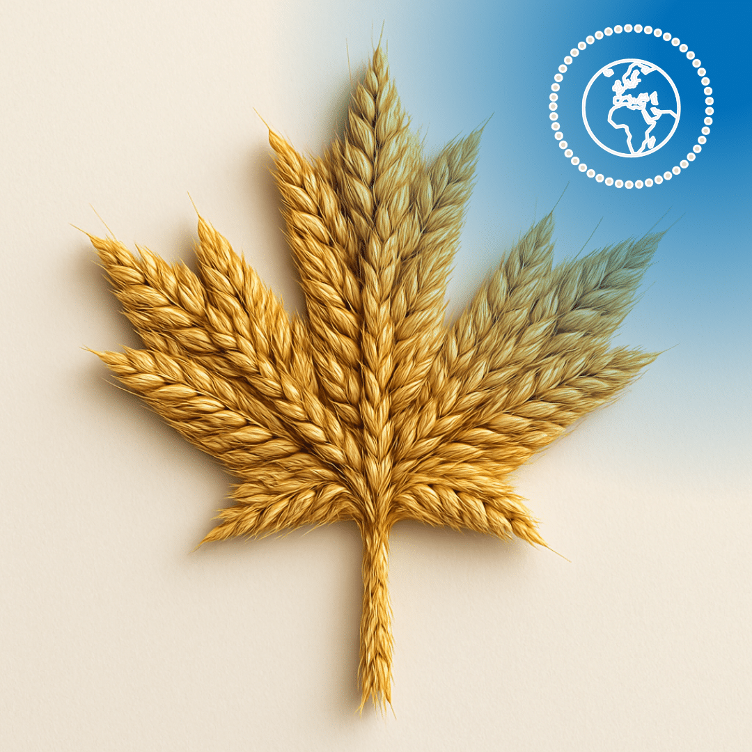 blé au canada