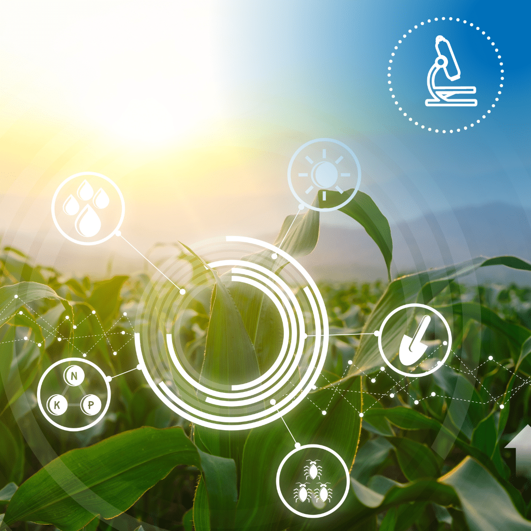 Biostimulant