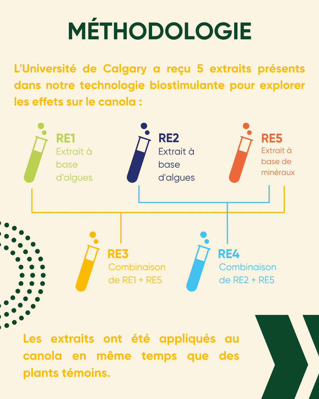 canola-universite-Calgary
