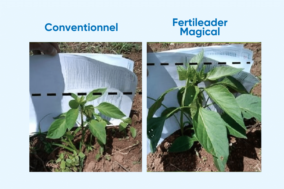 Fertileader magical william houde timac agro