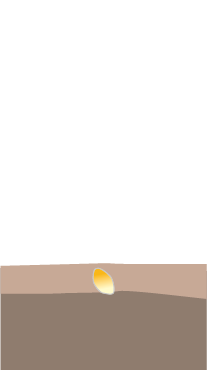 crop step 0