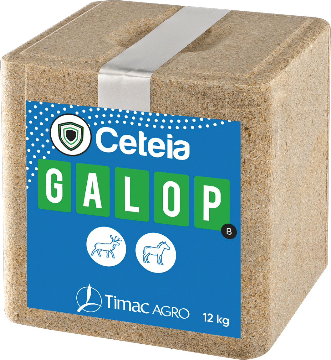 CETEIA GALOP B