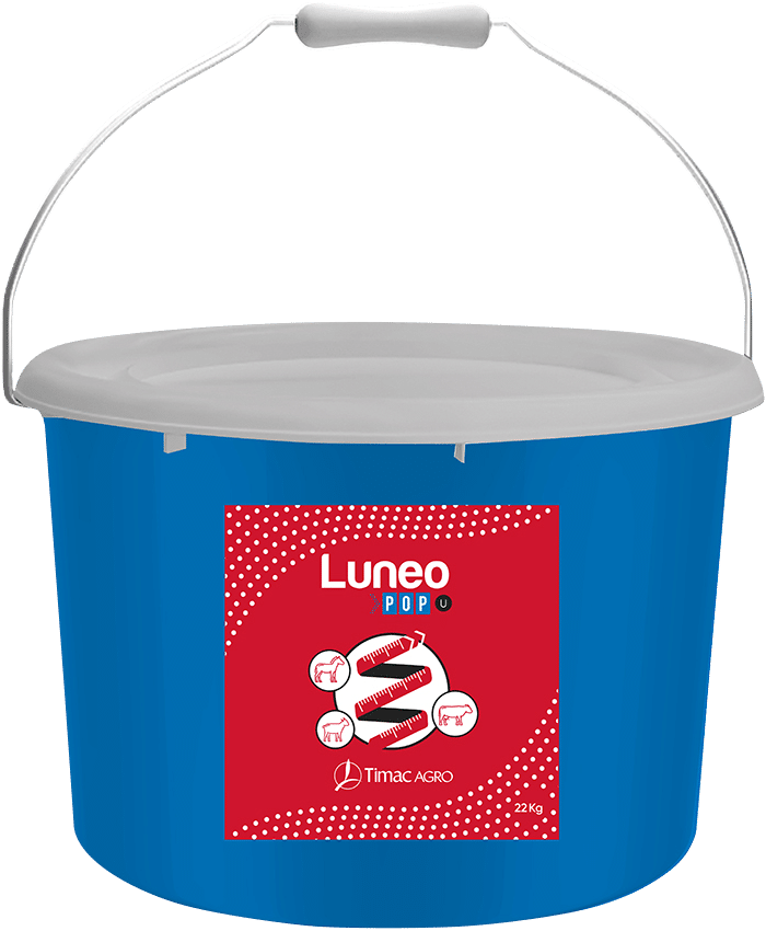 LUNEO POP U