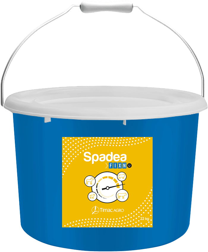 SPADEA FIX´N U