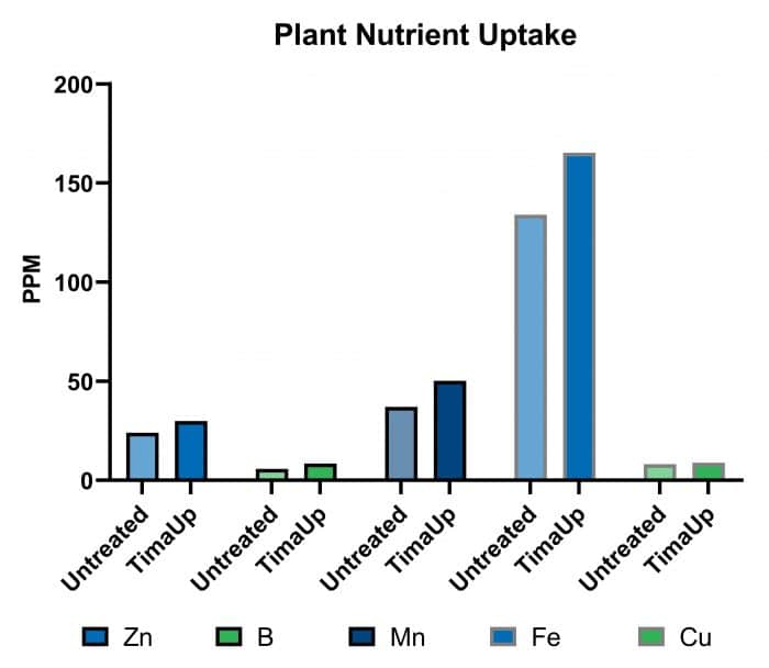 Foliar Nutrition increase