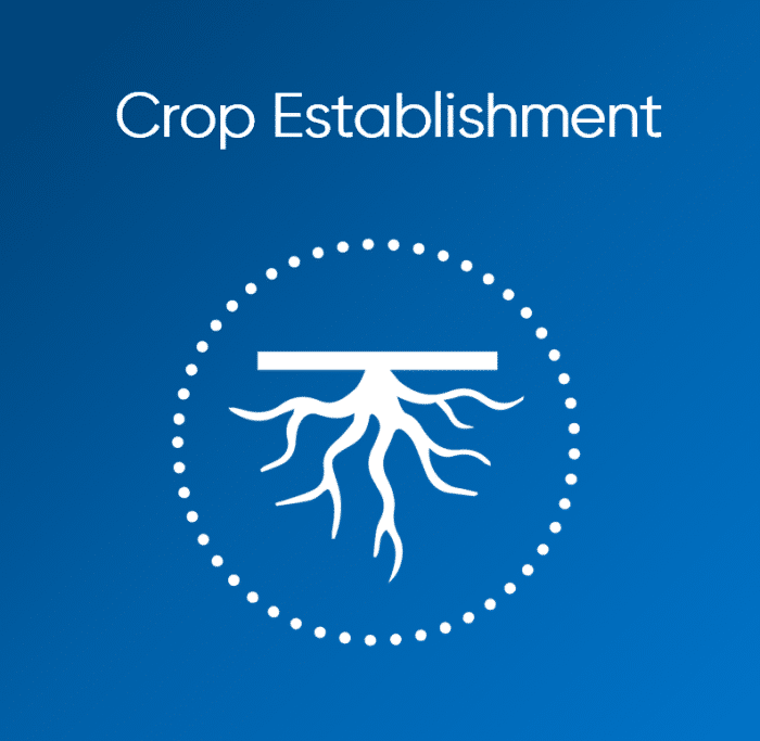 GZA - Crop Establishment