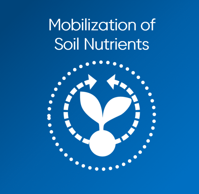 MPPA DUO - Mobilization of Soil Nutrients