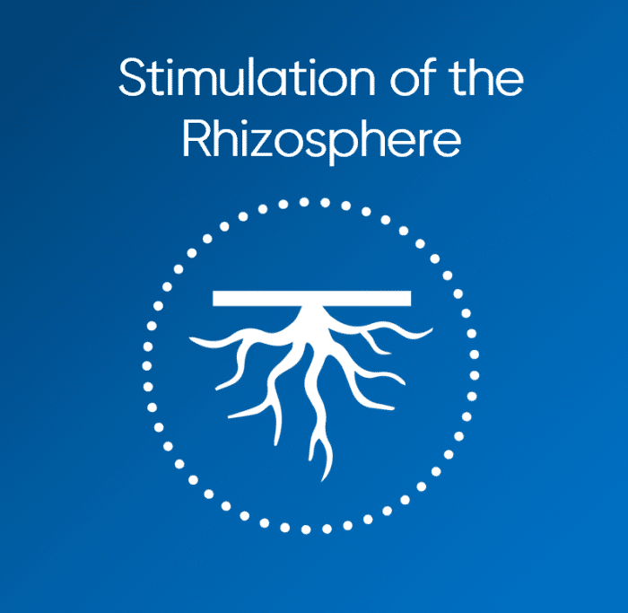 MPPA DUO - Stimulation of the Rhizosphere