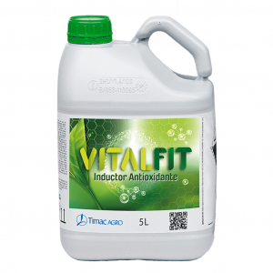 vitalfit