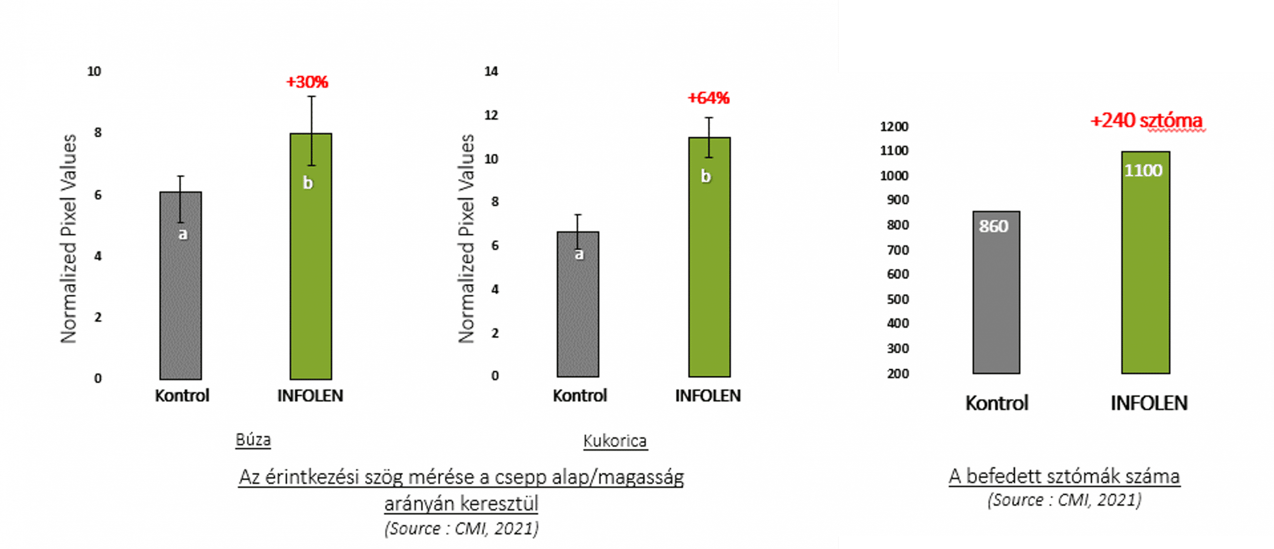 infolen kep1