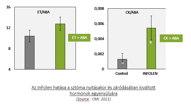 infolen kep2