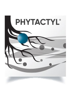 PHYTACTYL