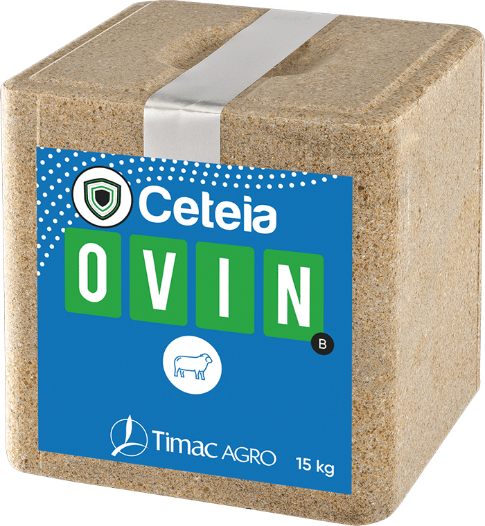 CETEIA OVIN B