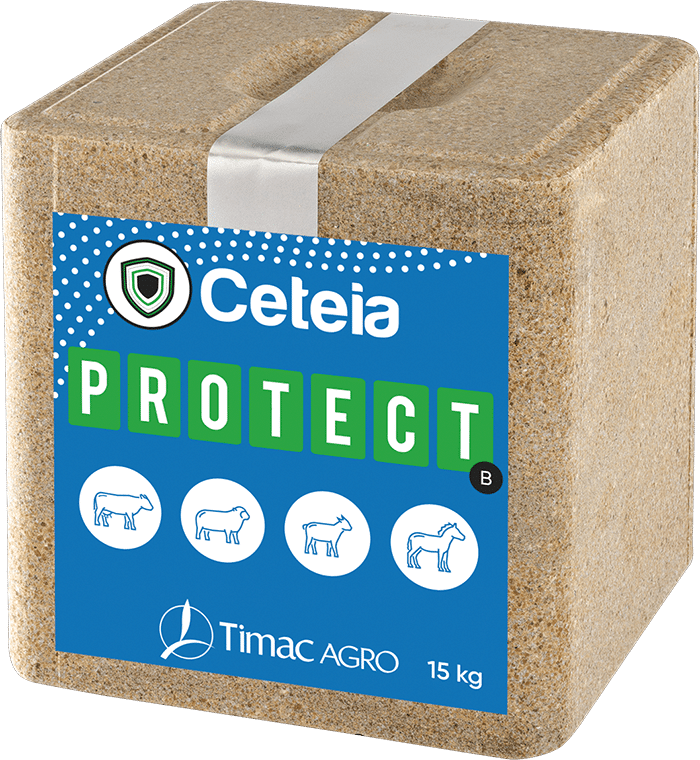 CETEIA PROTECT-B