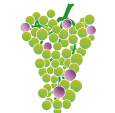 crop step 7