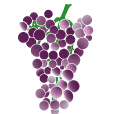 crop step 8