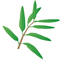 crop step 6